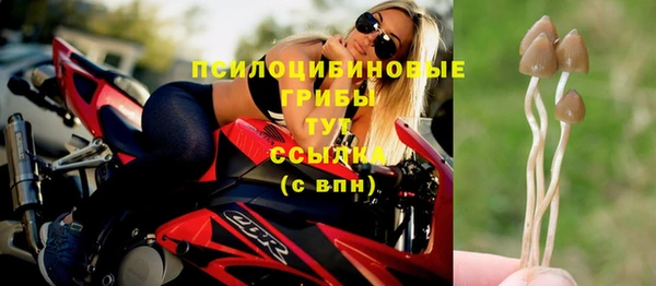 мескалин Абинск