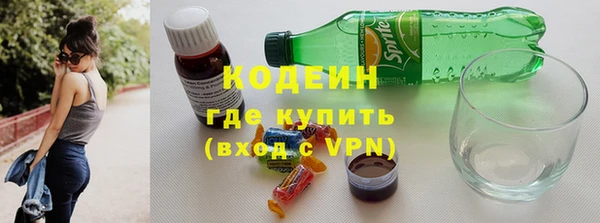 дживик Абаза