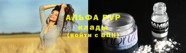 дживик Абаза