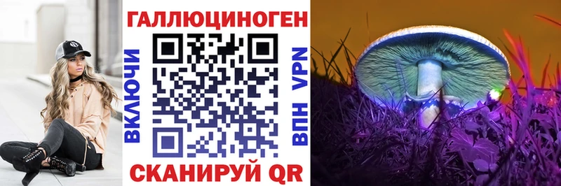 Псилоцибиновые грибы Psilocybine cubensis  Новочебоксарск 